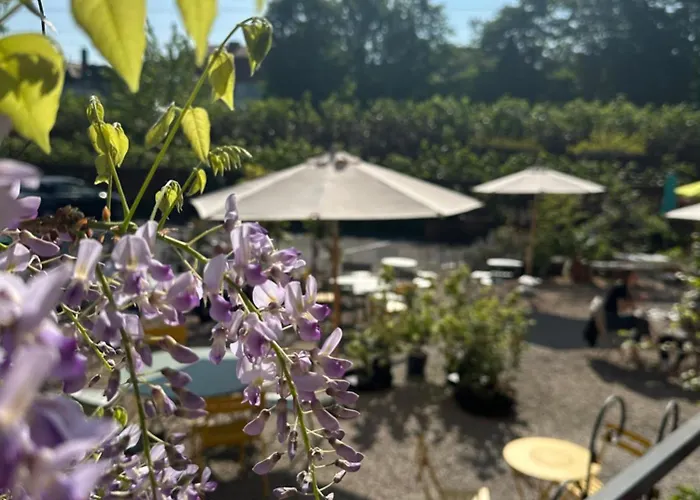 Appartement Im Hof68 Munster (North Rhine-Westphalia)